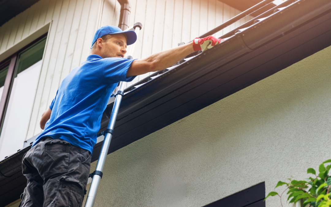 When to Clean Your Gutters in London, Ontario